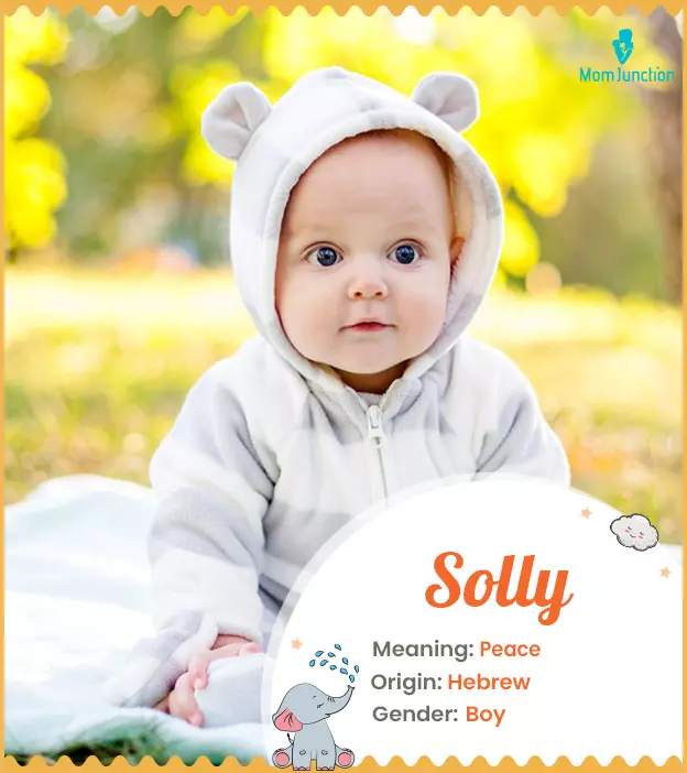 Explore Solly: Meaning, Origin & Popularity_image