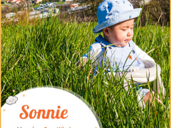 Sonnie, the most wisdomous child