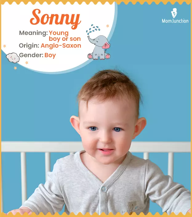 sonny: Name Meaning, Origin, History, And Popularity_image