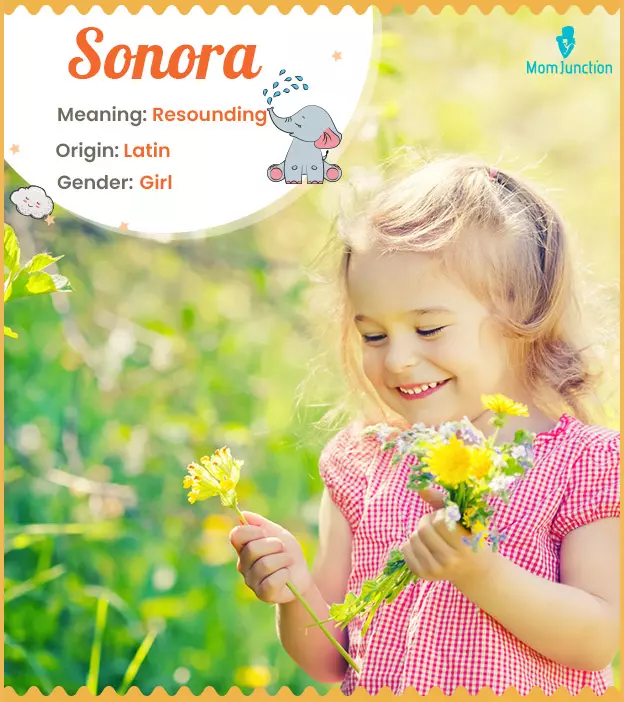 Explore Sonora: Meaning, Origin & Popularity_image