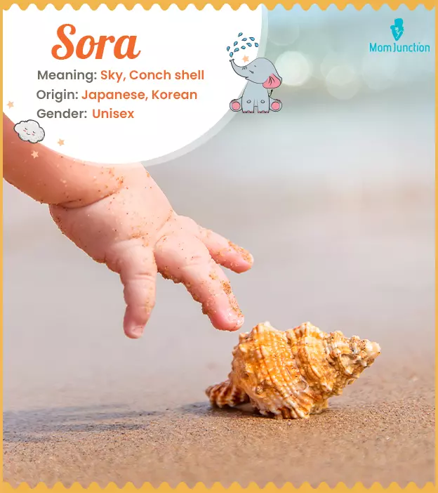 Sora Name, Origin, Meaning, And History | MomJunction