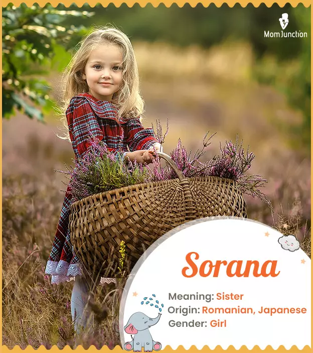 Sorana Meaning, Origin, History, And Popularity_image