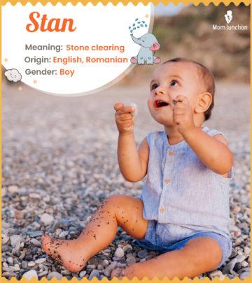 Explore Stan: Meaning, Origin & Popularity_image