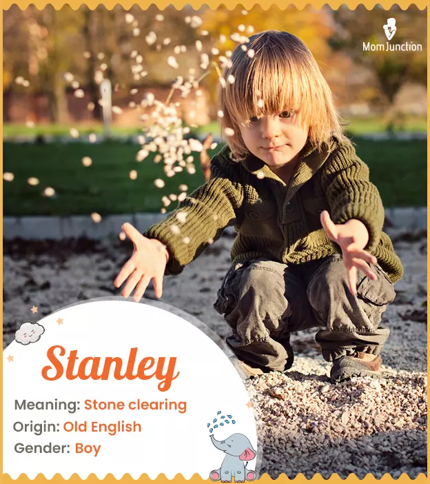 stanley: Name Meaning, Origin, History, And Popularity | MomJunction