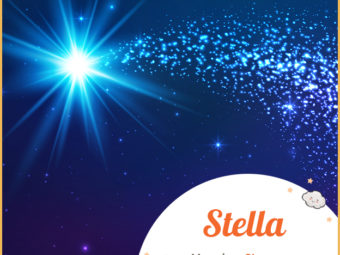 Stella, the little star