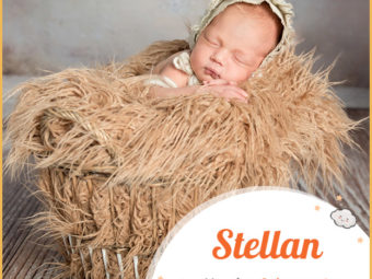 Stellan, means calm or a star.