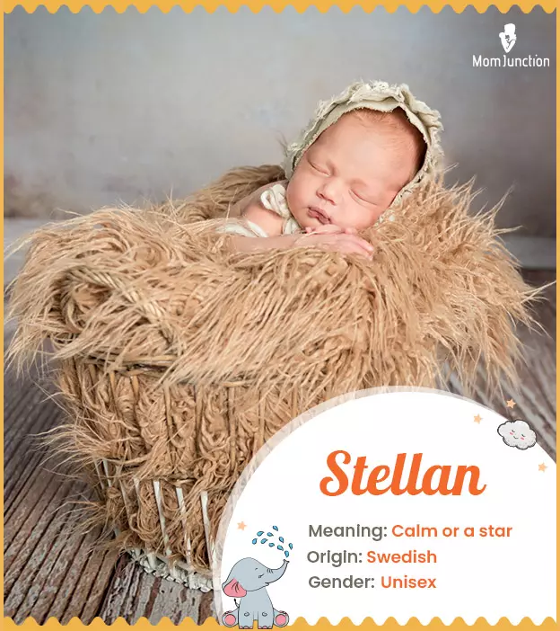 Stellan: Name Meaning, Origin, History, And Popularity_image