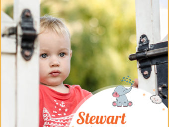Stewart meaning Steward