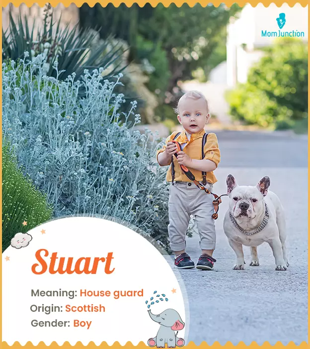 stuart: Name Meaning, Origin, History, And Popularity_image