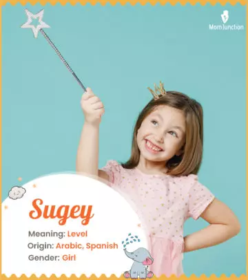 Explore Sugey: Meaning, Origin & Popularity_image