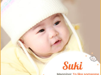 Suki means to like someone