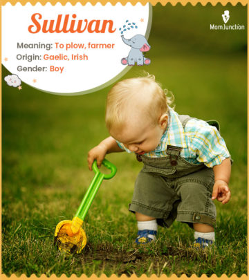 Sullivan, a Gaelic name that means tiny dark eyes.