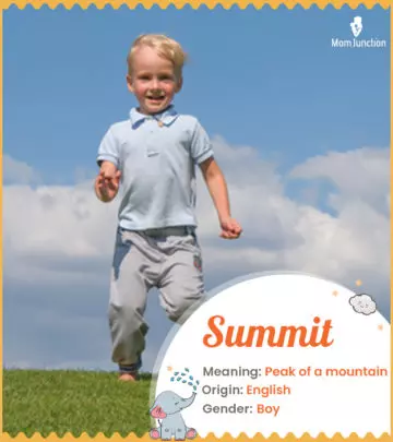 Explore Summit: Meaning, Origin & Popularity_image