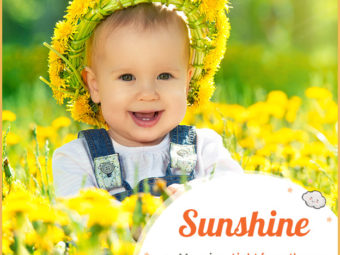 Sunshine, a cheerful and bright name that brings a ray of sunshine to your life.