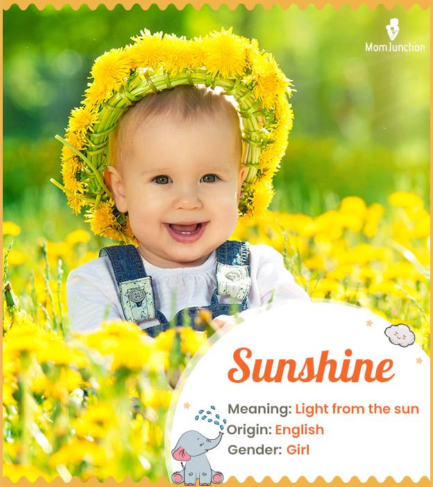 Sunshine, a cheerful