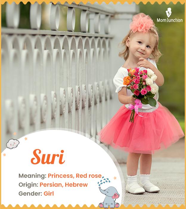 Suri Name Meaning, Origin, History, And Popularity_image