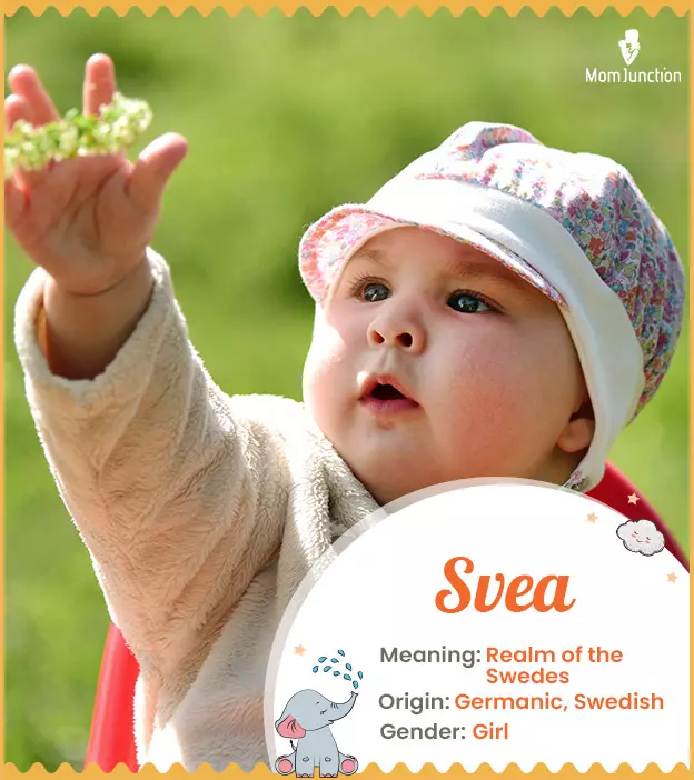 Svea Meaning, Origin, History, And Popularity_image