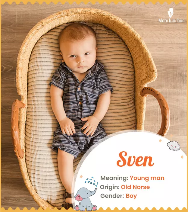 Sven, the young warr