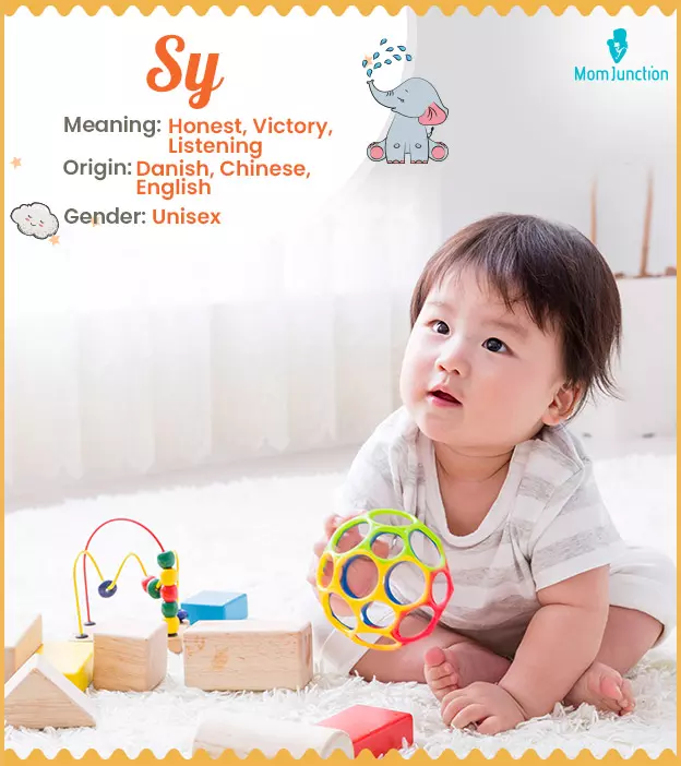 sy: Name Meaning, Origin, History, And Popularity | MomJunction