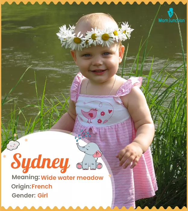 Sydney Name Meaning, Origin, History, And Popularity_image