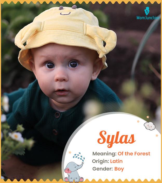 Sylas Name Meaning, Origin, History, And Popularity_image