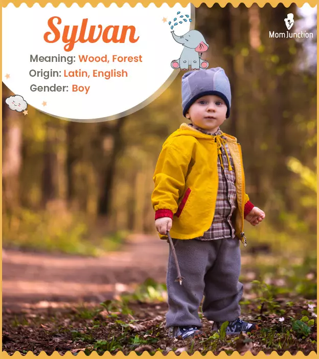 Explore Sylvan: Meaning, Origin & Popularity | MomJunction