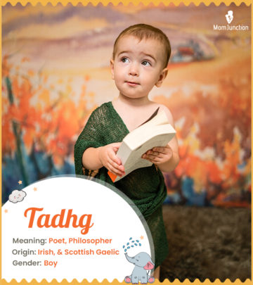 Tadhg means poet