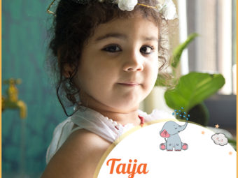 Taija, a feminine name
