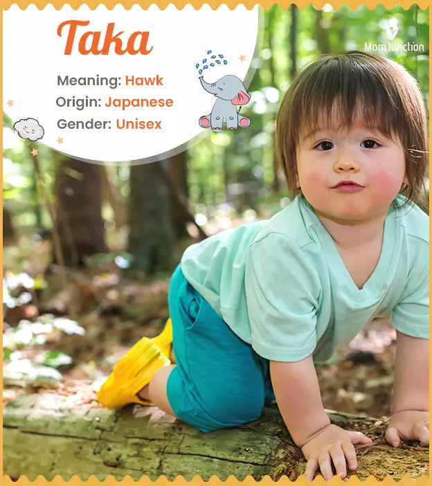 Taka Name Meaning, Origin, History, And Popularity_image