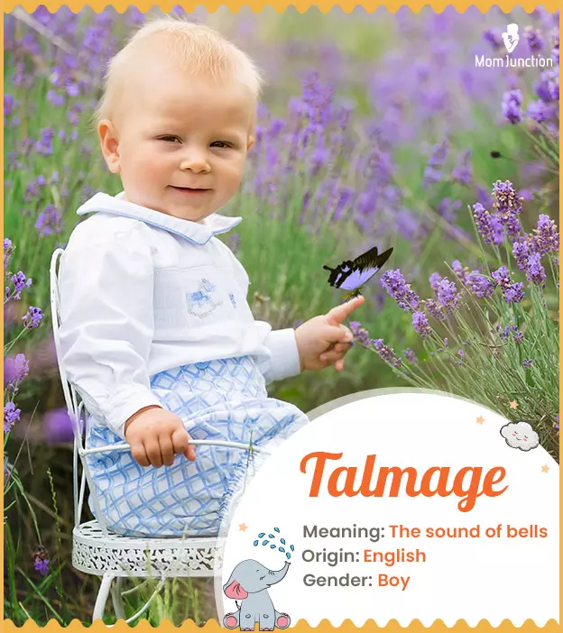 talmage: Name Meaning, Origin, History, And Popularity_image