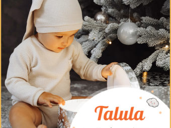 Talula,这个名字意味着跳跃的水。