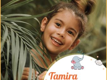 Tamira, meaning palm tree