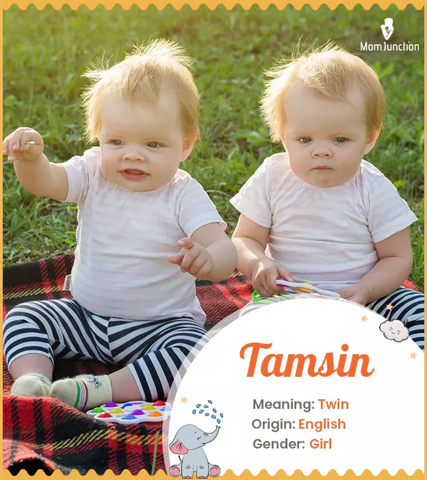 tamsin: Name Meaning, Origin, History, And Popularity | MomJunction