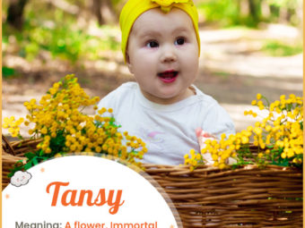 Tansy, a flower-inspired baby name