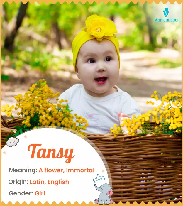 Tansy, a flower-insp