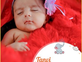 Tanvi means beautiful and delicate woman