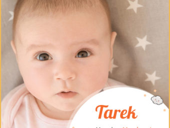 Tarek, a classic Arabic name for boys