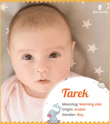 Explore Tarek: Meaning, Origin & Popularity | MomJunction