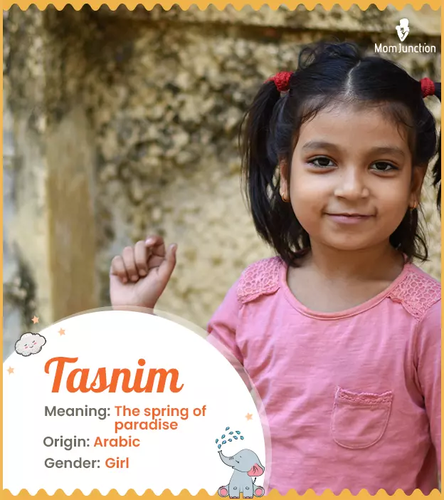 Tasnim: Name Meaning, Origin, History, And Popularity_image