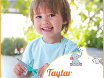 Taylar means to cut.