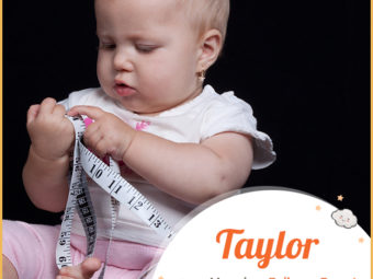 Taylor, a cute little tailor