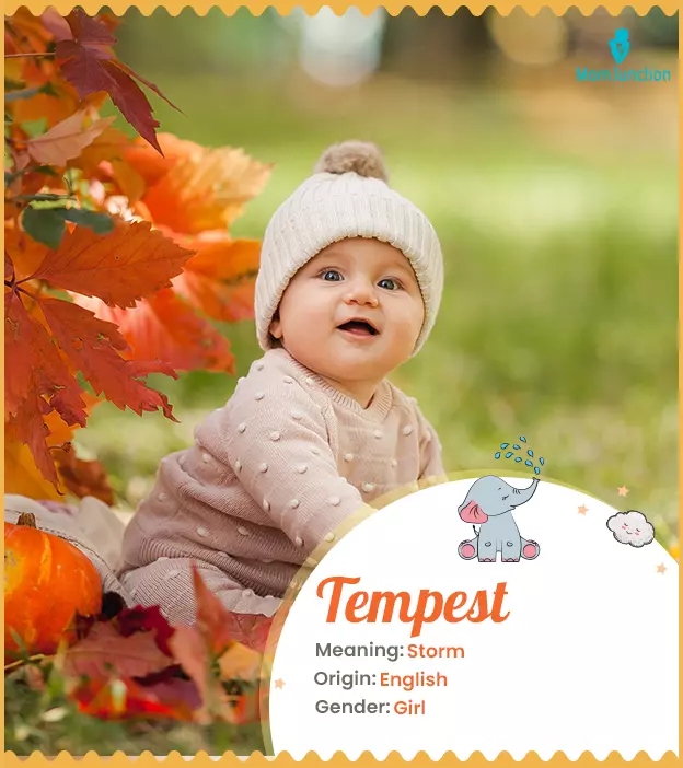 Explore Tempest: Meaning, Origin & Popularity_image