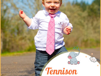 Tennison, meaning son of Denis