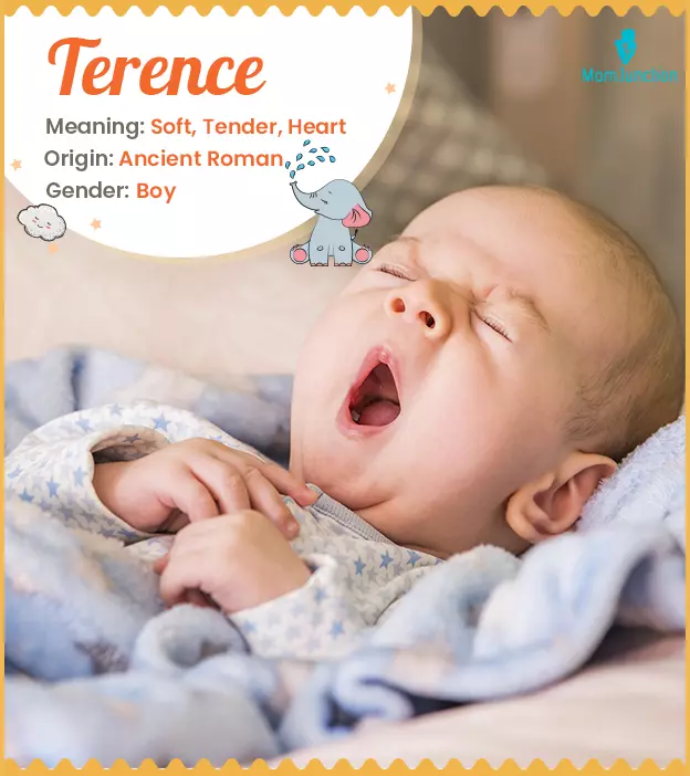 Terence Meaning, Origin, History, And Popularity_image