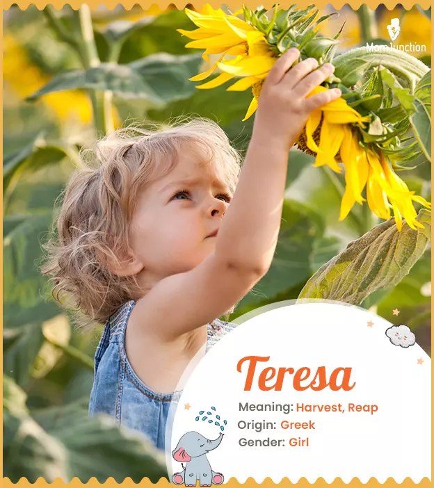 Teresa: Name Meaning, Origin, History, And Popularity | MomJunction