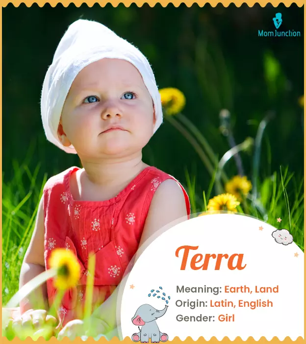 Explore Terra: Meaning, Origin & Popularity | MomJunction