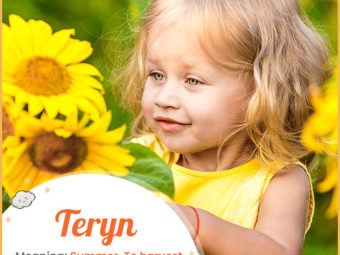 Teryn reflecting radiance
