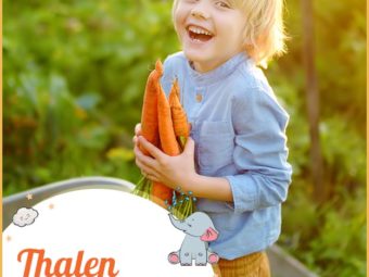 Thalen, symbolizing the joy of harvest