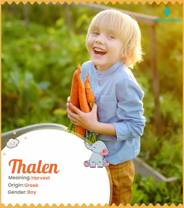 thalen: Name Meaning, Origin, History, And Popularity_image