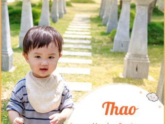 Thao meaning Courteous
